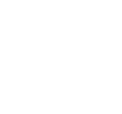Mobitronx